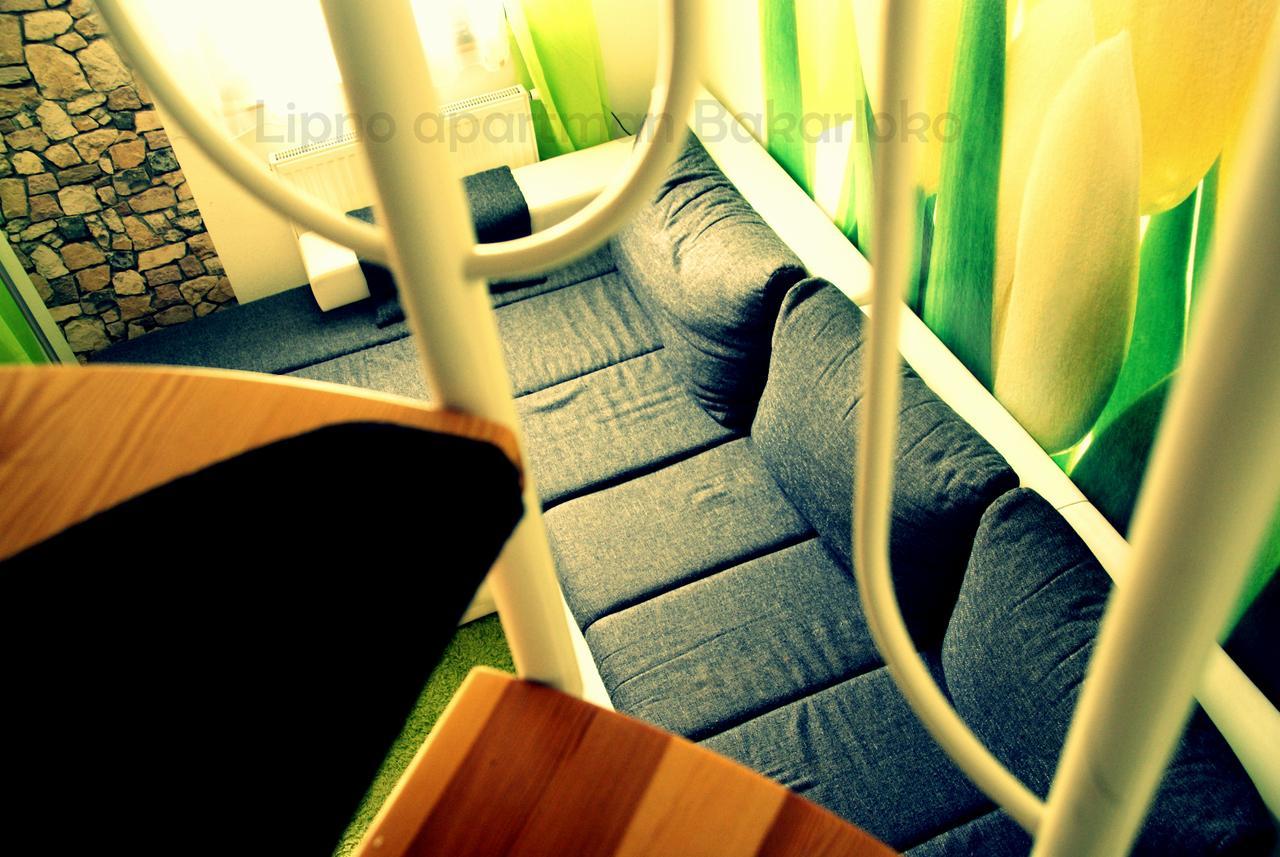 Bakarloko Lipno Apartments リプノ・ナト・ヴルタヴォウ エクステリア 写真