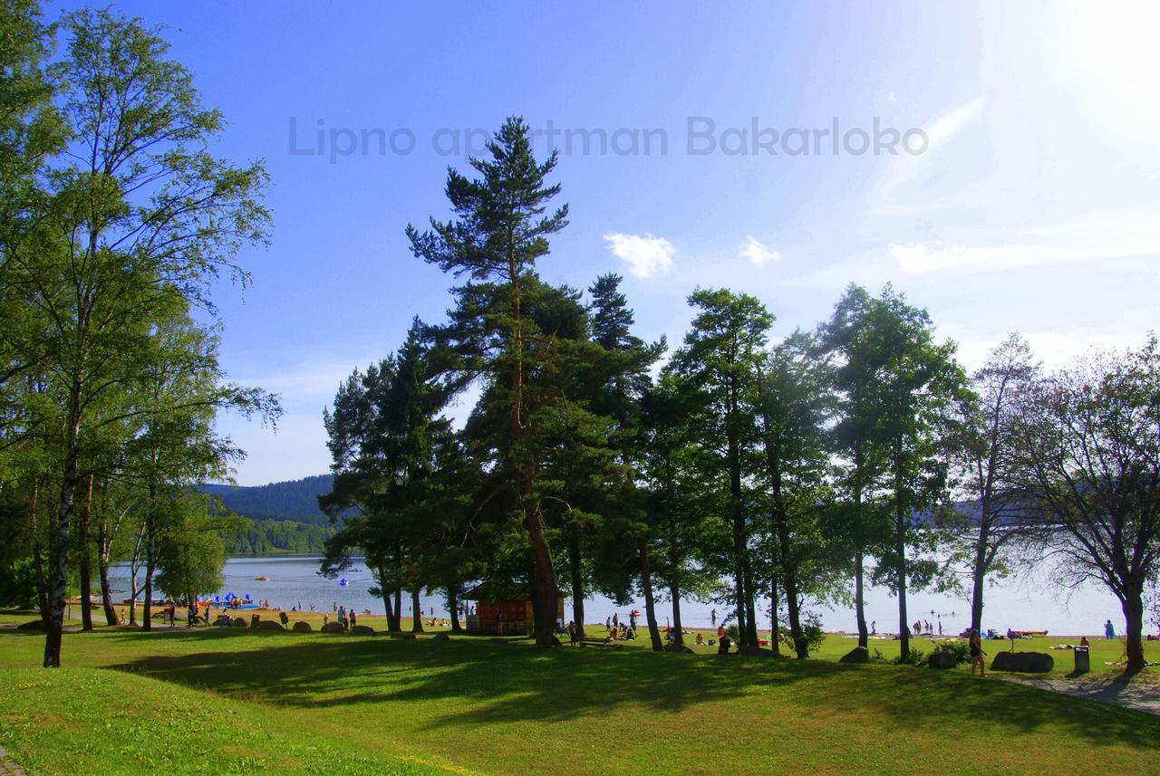 Bakarloko Lipno Apartments リプノ・ナト・ヴルタヴォウ エクステリア 写真