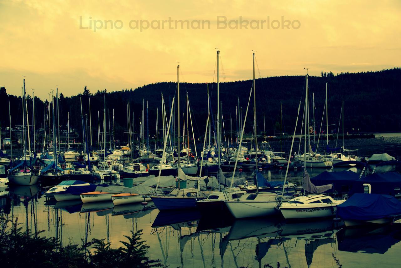 Bakarloko Lipno Apartments リプノ・ナト・ヴルタヴォウ エクステリア 写真