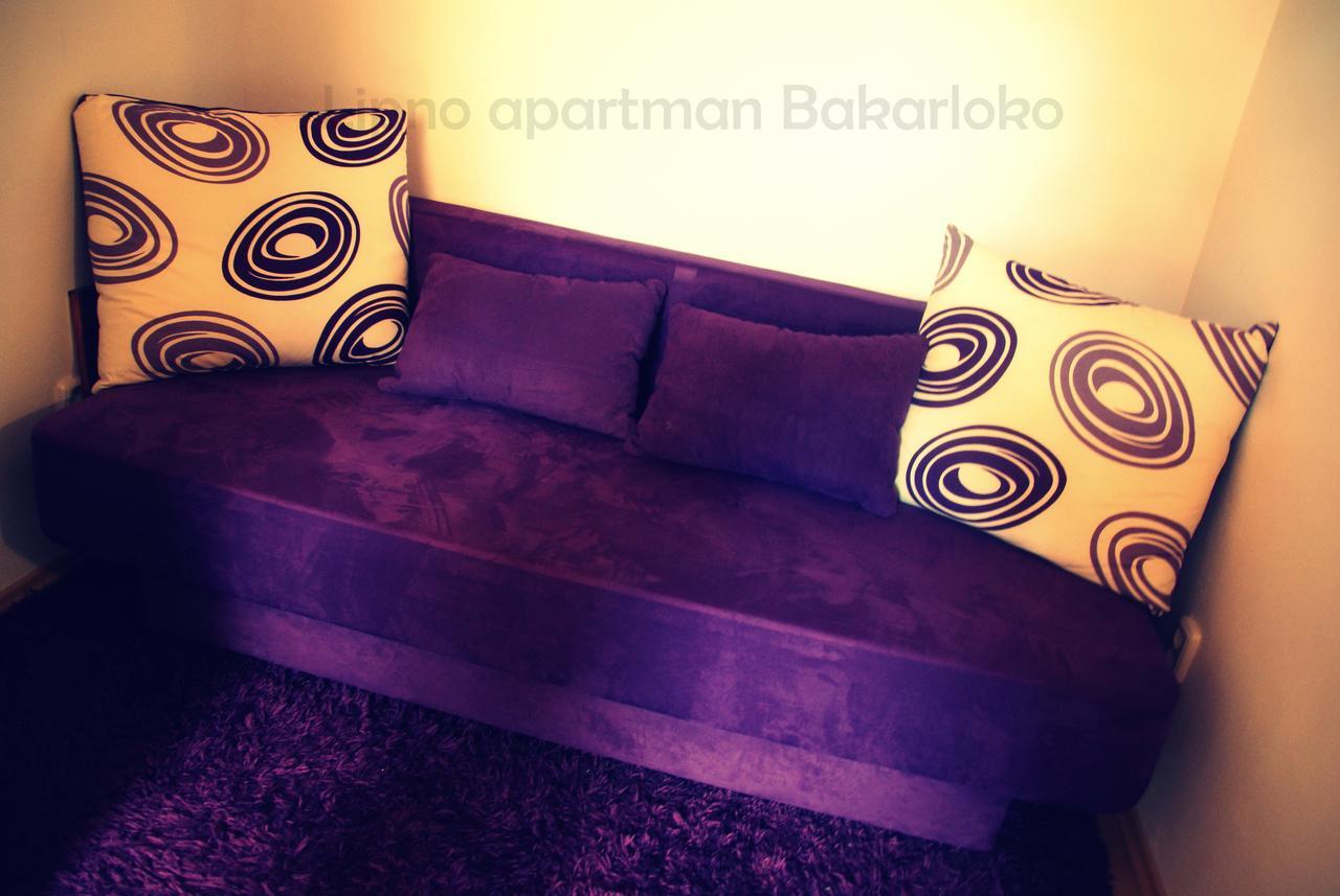 Bakarloko Lipno Apartments リプノ・ナト・ヴルタヴォウ エクステリア 写真