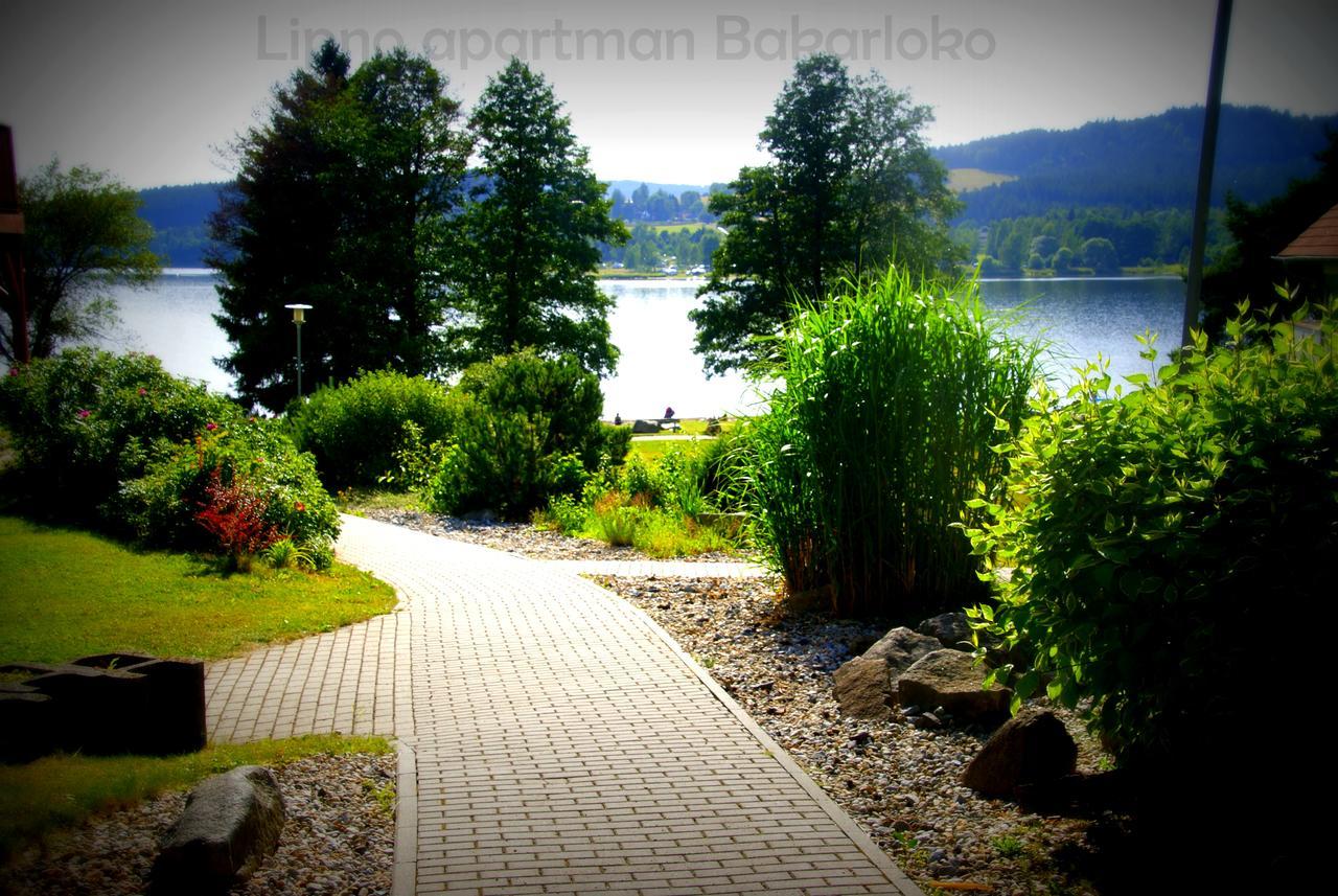 Bakarloko Lipno Apartments リプノ・ナト・ヴルタヴォウ エクステリア 写真
