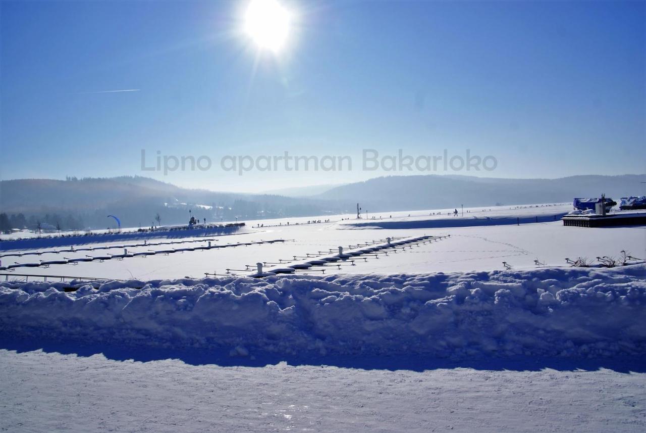 Bakarloko Lipno Apartments リプノ・ナト・ヴルタヴォウ エクステリア 写真